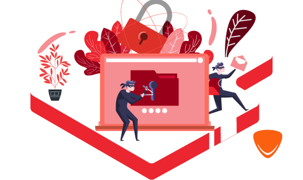 Privacidade garantida