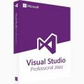 Visual Studio 2022 Professional