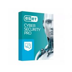 ESET Cyber Security Pro 2023-2025